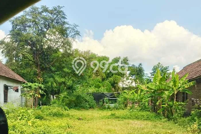 Tanah di Mojosari, Mojokerto Luas 861m2 Dijual Segera Tanah di Mojosari, Mojokerto Luas 861m2 Dijual Segera