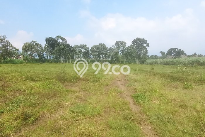Kavling Tanah Dijual di Pakis Malang Spesifikasi 72m2 Kavling Tanah Dijual di Pakis Malang Spesifikasi 72m2