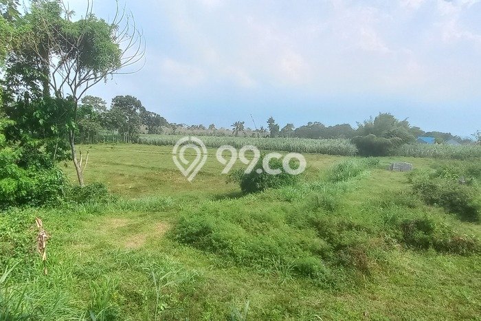 Tanah Dijual Lokasi Pakis, Malang dengan Luas Tanah 72m2 dan Status SHM Tanah Dijual Lokasi Pakis, Malang dengan Luas Tanah 72m2 dan Status SHM