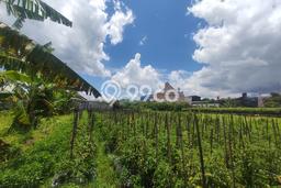 Lahan Kosong Dijual di Malang dengan Area 168m2 Lahan Kosong Dijual di Malang dengan Area 168m2