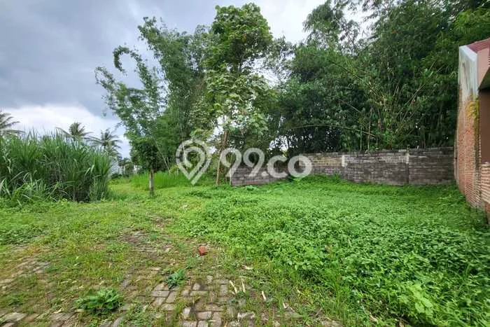 Tanah Dijual Lokasi Kedungkandang Malang SHM Tanah Dijual Lokasi Kedungkandang Malang SHM
