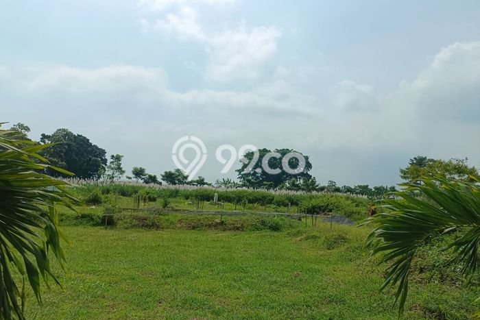Lahan Kosong Dijual di Pakis, Malang, Luas 72m2 Area Strategis Lahan Kosong Dijual di Pakis, Malang, Luas 72m2 Area Strategis