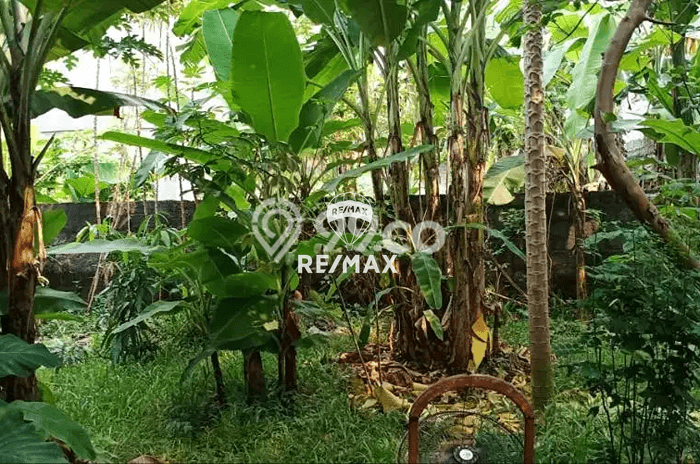 Dijual Tanah Lokasi Sukmajaya, Depok Seluas 615m2 Dijual Tanah Lokasi Sukmajaya, Depok Seluas 615m2