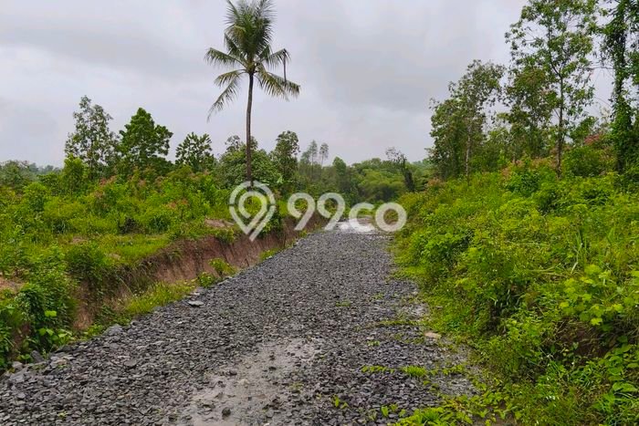 Lahan Kosong Dijual di Bogor dengan Area 21000m2 Lahan Kosong Dijual di Bogor dengan Area 21000m2
