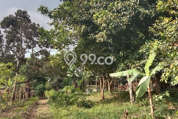 Tanah untuk Dijual Lokasi Caringin, Bogor Luas 11349m2 SHM Tanah untuk Dijual Lokasi Caringin, Bogor Luas 11349m2 SHM