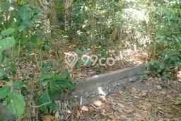 Lahan Disewakan Lokasi Umalas Badung Luas 700m2 Lahan Disewakan Lokasi Umalas Badung Luas 700m2