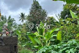 Dijual Tanah Lokasi Singaraja, Buleleng Seluas 1000m2 Dijual Tanah Lokasi Singaraja, Buleleng Seluas 1000m2