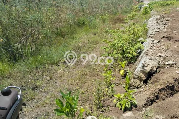 Kavling Tanah untuk Disewa di Tumbak Bayuh Lahan Luas 950m2 Kavling Tanah untuk Disewa di Tumbak Bayuh Lahan Luas 950m2