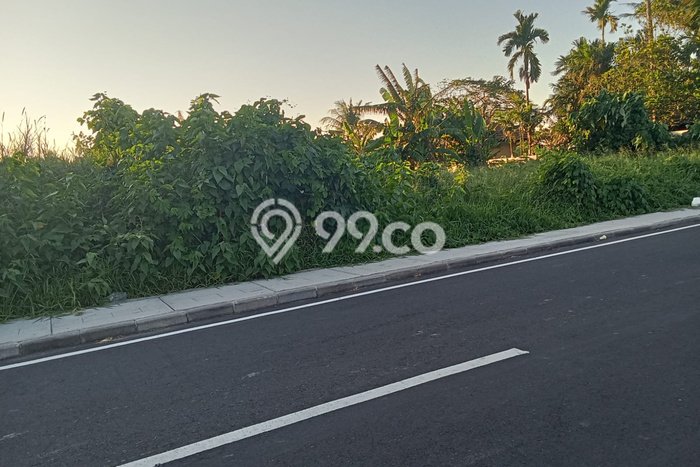 Tanah Dijual Area Strategis di Cemagi Badung 835m2 Tanah Dijual Area Strategis di Cemagi Badung 835m2