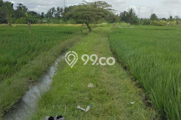Dijual Tanah di Tabanan, Luas 2050m2 SHM Dijual Tanah di Tabanan, Luas 2050m2 SHM