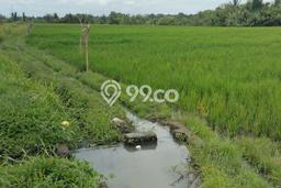 Dijual Tanah di Tabanan, Luas 2050m2 SHM Dijual Tanah di Tabanan, Luas 2050m2 SHM