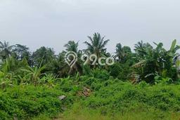 Lahan Kosong Disewakan di Ubud, Gianyar, Luas 5000m2 Lahan Kosong Disewakan di Ubud, Gianyar, Luas 5000m2
