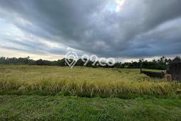 Lahan Kosong Dijual di Tabanan, Tabanan, Luas 6930m2 Area Strategis Lahan Kosong Dijual di Tabanan, Tabanan, Luas 6930m2 Area Strategis