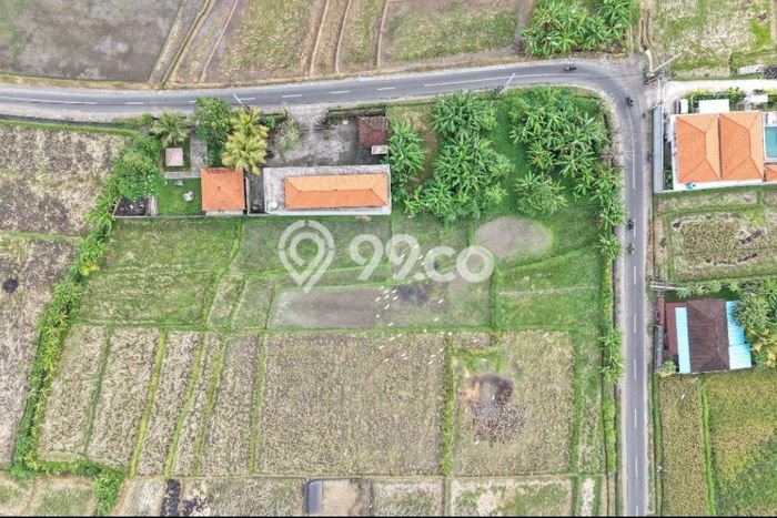 Kavling Tanah untuk Dijual di Kedungu, Tabanan, Luas 100m2 Kavling Tanah untuk Dijual di Kedungu, Tabanan, Luas 100m2