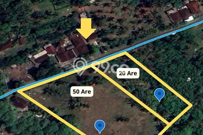 Tanah Dijual Lokasi Melaya, Jembrana Luas 7000m2 Legalitas Aman Tanah Dijual Lokasi Melaya, Jembrana Luas 7000m2 Legalitas Aman