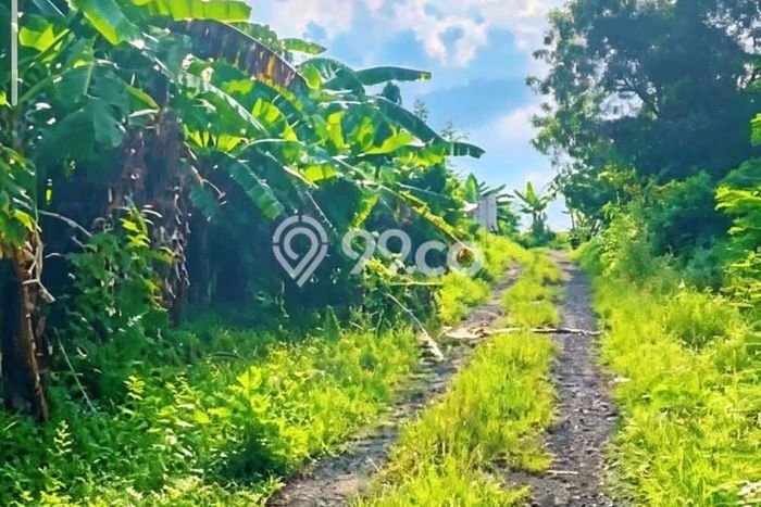 Tanah Kavling Dijual di Kedungu, Tabanan dengan Luas Tanah 100m2 Tanah Kavling Dijual di Kedungu, Tabanan dengan Luas Tanah 100m2
