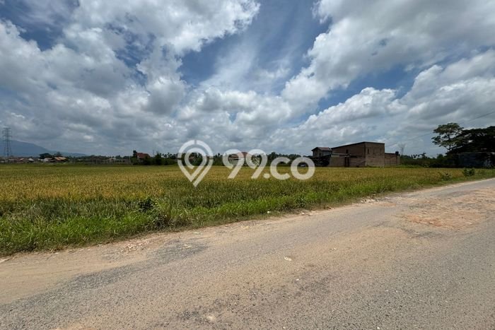 Dijual Tanah di Natar Lampung Selatan Luas 8580m2 SHM Dijual Tanah di Natar Lampung Selatan Luas 8580m2 SHM