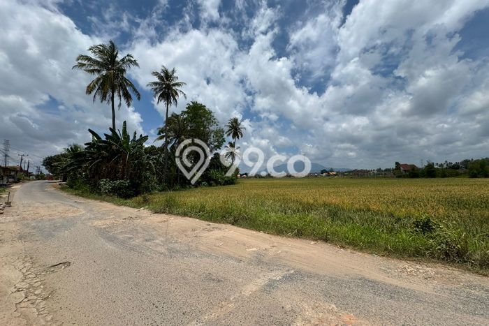 Dijual Tanah di Natar Lampung Selatan Luas 8580m2 SHM Dijual Tanah di Natar Lampung Selatan Luas 8580m2 SHM