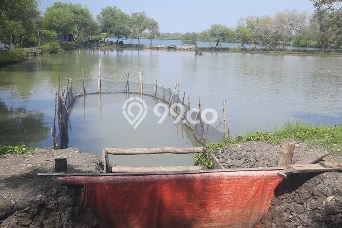 Kavling Tanah di Jabon Dijual Luas 3453m2 Legalitas SHM Kavling Tanah di Jabon Dijual Luas 3453m2 Legalitas SHM