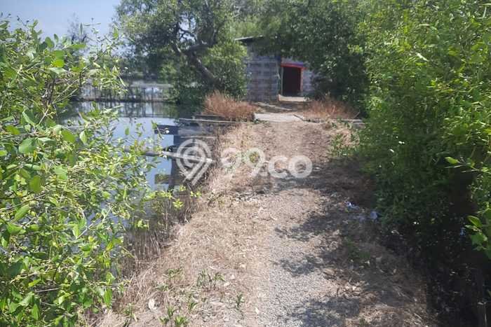 Kavling Tanah di Jabon Dijual Luas 3453m2 Legalitas SHM Kavling Tanah di Jabon Dijual Luas 3453m2 Legalitas SHM