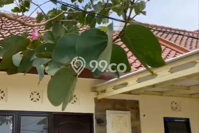 Rumah Murah LT 70m2 di Boja Lingkungan Asri Rumah Murah LT 70m2 di Boja Lingkungan Asri