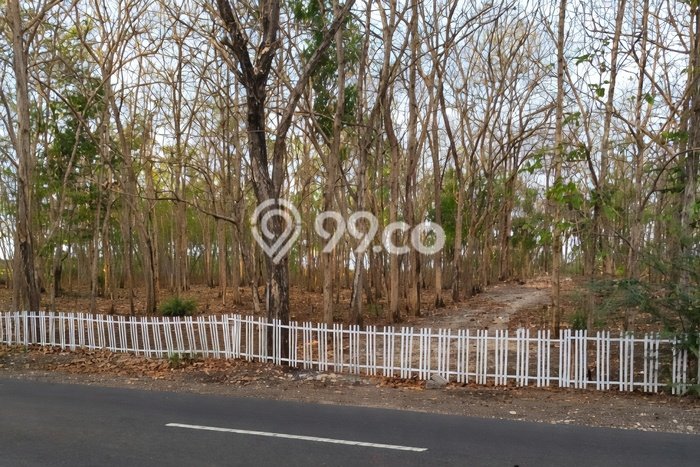 Tanah Kavling untuk Dijual di Wonosari Gunung Kidul 17460m2 Tanah Kavling untuk Dijual di Wonosari Gunung Kidul 17460m2