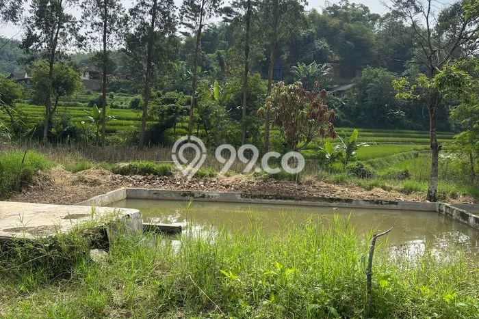 Kavling Tanah Dijual di Ciwidey Bandung Spesifikasi 2950m2 Kavling Tanah Dijual di Ciwidey Bandung Spesifikasi 2950m2