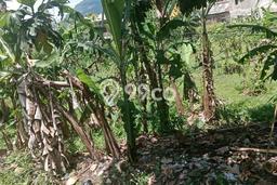 Dijual Tanah Lokasi Balubur Limbangan, Garut Seluas 966m2 Dijual Tanah Lokasi Balubur Limbangan, Garut Seluas 966m2