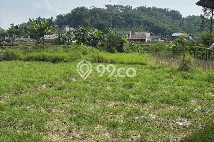 Kavling Tanah Dijual di Ciwidey Bandung Spesifikasi 2950m2 Kavling Tanah Dijual di Ciwidey Bandung Spesifikasi 2950m2