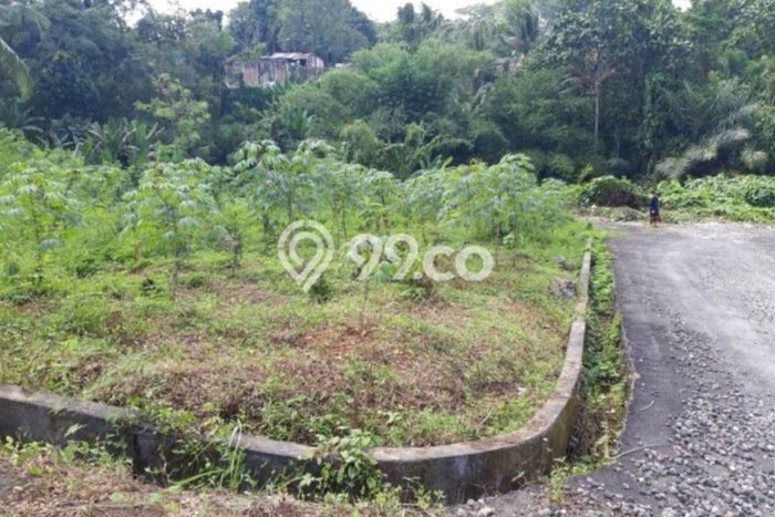 Lahan Kosong Dijual di Tabanan dengan Area 90m2 Lahan Kosong Dijual di Tabanan dengan Area 90m2