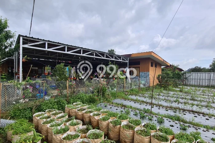 HARGA MENARIK! Vila di Cipanas, Area 3600m2m², Area Premium dengan jalan bagus HARGA MENARIK! Vila di Cipanas, Area 3600m2m², Area Premium dengan jalan bagus