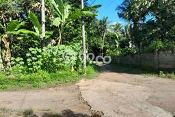 Kavling Tanah di Kalibawang Dijual Luas 750m2 Legalitas SHM Kavling Tanah di Kalibawang Dijual Luas 750m2 Legalitas SHM