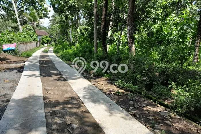 Kavling Tanah di Kalibawang Dijual Luas 750m2 Legalitas SHM Kavling Tanah di Kalibawang Dijual Luas 750m2 Legalitas SHM