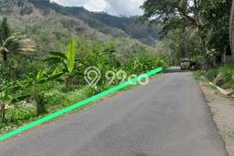 Kavling Tanah di Kalibawang Dijual Luas 1700m2 Legalitas SHM Kavling Tanah di Kalibawang Dijual Luas 1700m2 Legalitas SHM