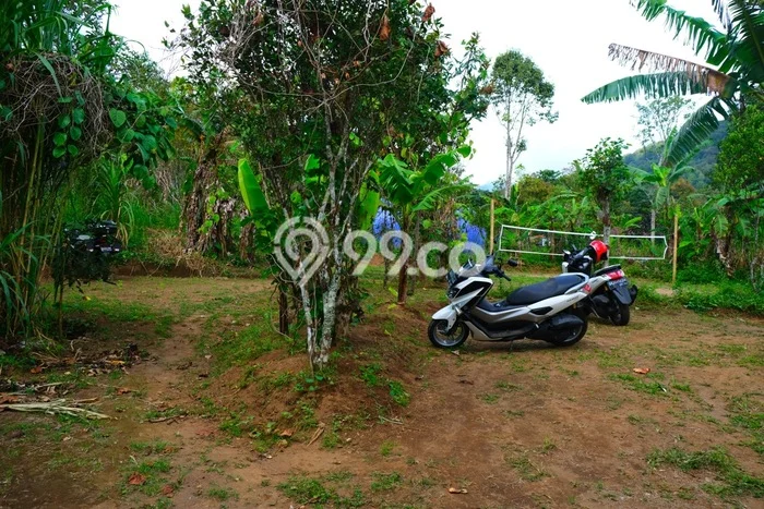 Tanah Dijual Area Strategis di Munduk Bestala Buleleng 920m2 Tanah Dijual Area Strategis di Munduk Bestala Buleleng 920m2