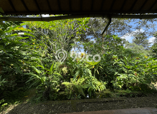 Lahan untuk Dijual di Ubud Gianyar Luas 615m2 Lahan untuk Dijual di Ubud Gianyar Luas 615m2