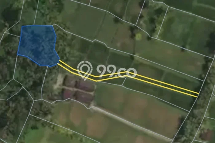 Tanah di Kintamani, Bangli Luas 5400m2 Dijual Segera Tanah di Kintamani, Bangli Luas 5400m2 Dijual Segera