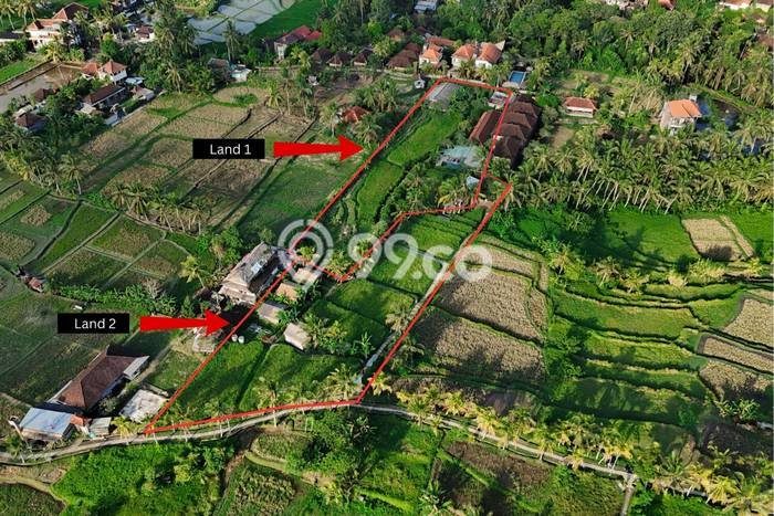 FOR SALE! Komersial di Ubud Gianyar, LT 6750m2, LB 100m2 FOR SALE! Komersial di Ubud Gianyar, LT 6750m2, LB 100m2