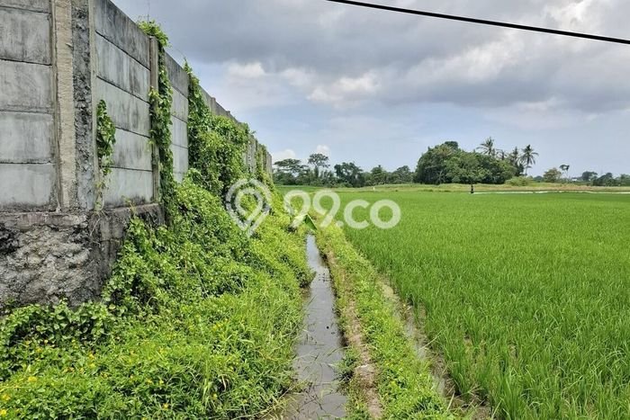 Tanah Dijual Area Strategis di Kaba kaba Tabanan 474m2 Tanah Dijual Area Strategis di Kaba kaba Tabanan 474m2