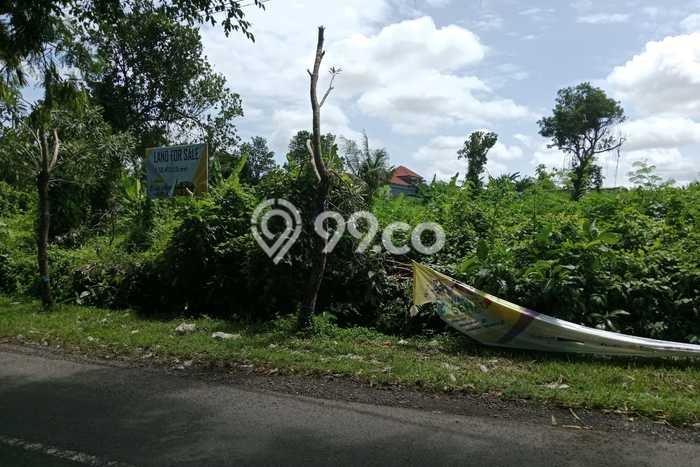 Dijual Tanah 5650m2 di Kaba kaba, Tabanan Dijual Tanah 5650m2 di Kaba kaba, Tabanan