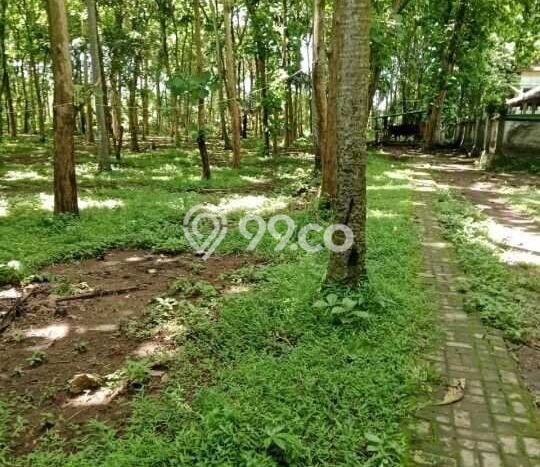 Tanah Dijual di Tabanan Seluas 20000m2 Strategis Tanah Dijual di Tabanan Seluas 20000m2 Strategis