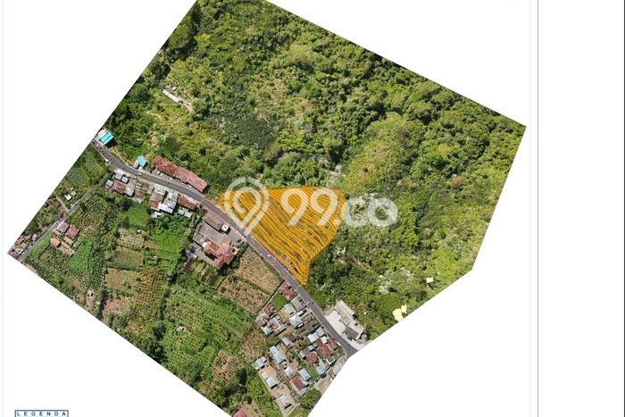Tanah di Kintamani, Bangli Luas 5400m2 Dijual Segera Tanah di Kintamani, Bangli Luas 5400m2 Dijual Segera