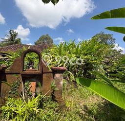 Lahan untuk Dijual di Ubud Gianyar Luas 615m2 Lahan untuk Dijual di Ubud Gianyar Luas 615m2