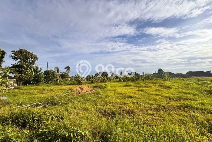 Dijual Tanah 350m2 di Kaba kaba, Tabanan Dijual Tanah 350m2 di Kaba kaba, Tabanan