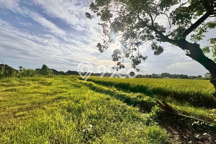 Dijual Tanah 350m2 di Kaba kaba, Tabanan Dijual Tanah 350m2 di Kaba kaba, Tabanan