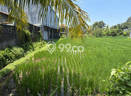 Kavling Tanah Dijual di Ubud, Gianyar, Luas 700m2 Area Strategis Kavling Tanah Dijual di Ubud, Gianyar, Luas 700m2 Area Strategis