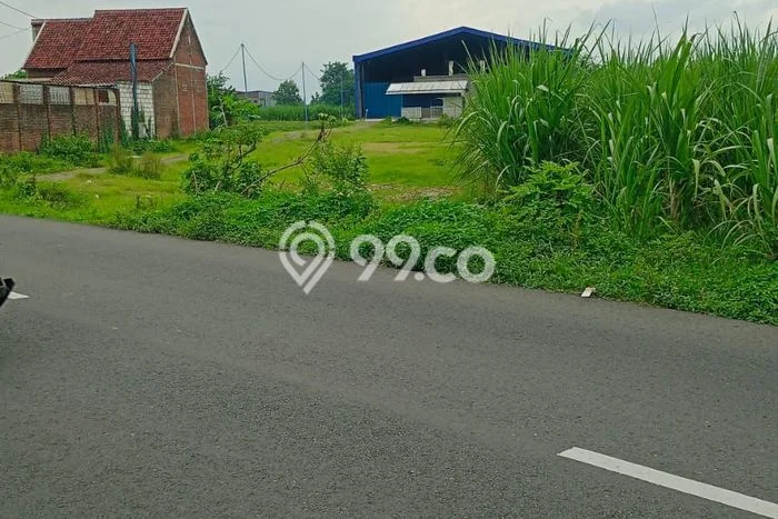 Tanah di Peterongan, Jombang Luas 1650m2 Dijual Segera Tanah di Peterongan, Jombang Luas 1650m2 Dijual Segera
