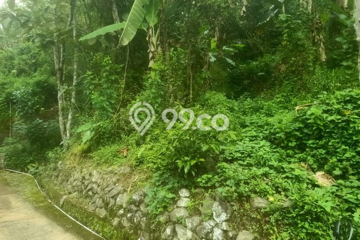 Kavling Tanah di Limbangan Dijual Luas 203m2 Legalitas SHM Kavling Tanah di Limbangan Dijual Luas 203m2 Legalitas SHM