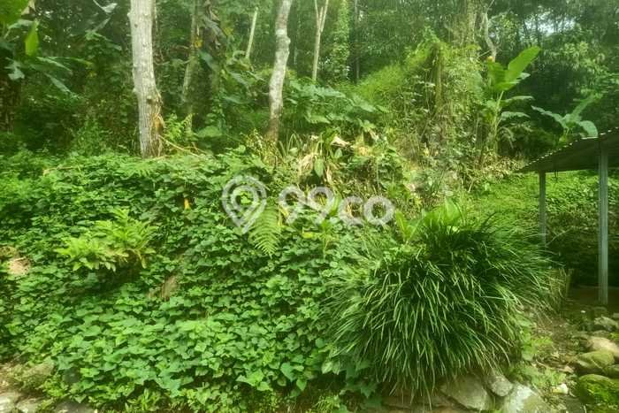 Kavling Tanah di Limbangan Dijual Luas 203m2 Legalitas SHM Kavling Tanah di Limbangan Dijual Luas 203m2 Legalitas SHM