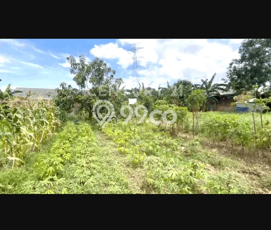 Tanah Kavling di Tambun Utara Dijual dengan Luas 1100m2 Tanah Kavling di Tambun Utara Dijual dengan Luas 1100m2